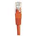 Cavo patch Cat6, RJ45, UTP, lunghezza 1.5 m, Rosso - Foto miniatura 2